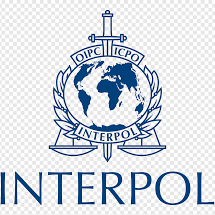 interpol